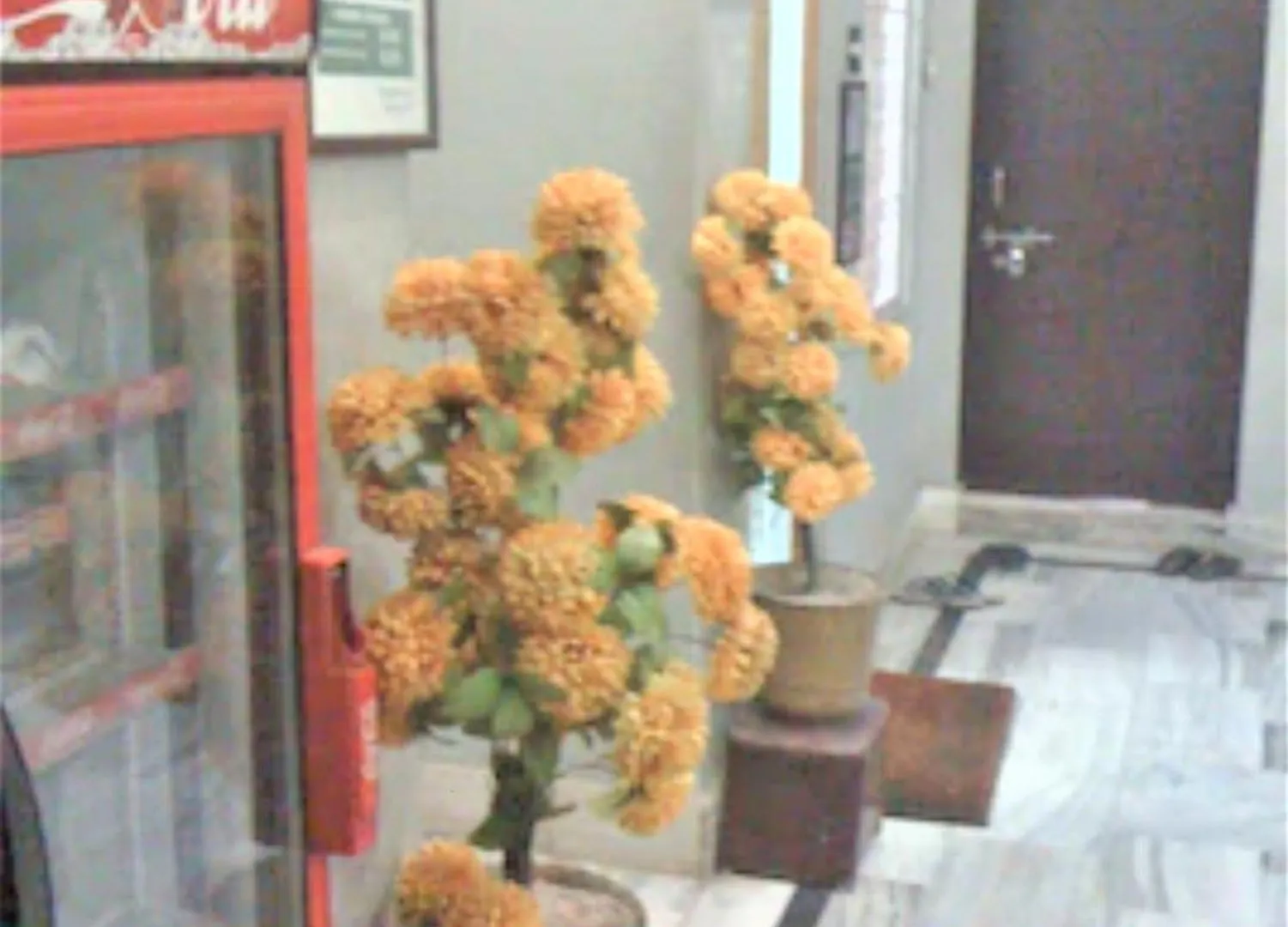 Hotel Goroomgo Teerth Guest House Varanasi Near Temple And Ganga Ghat